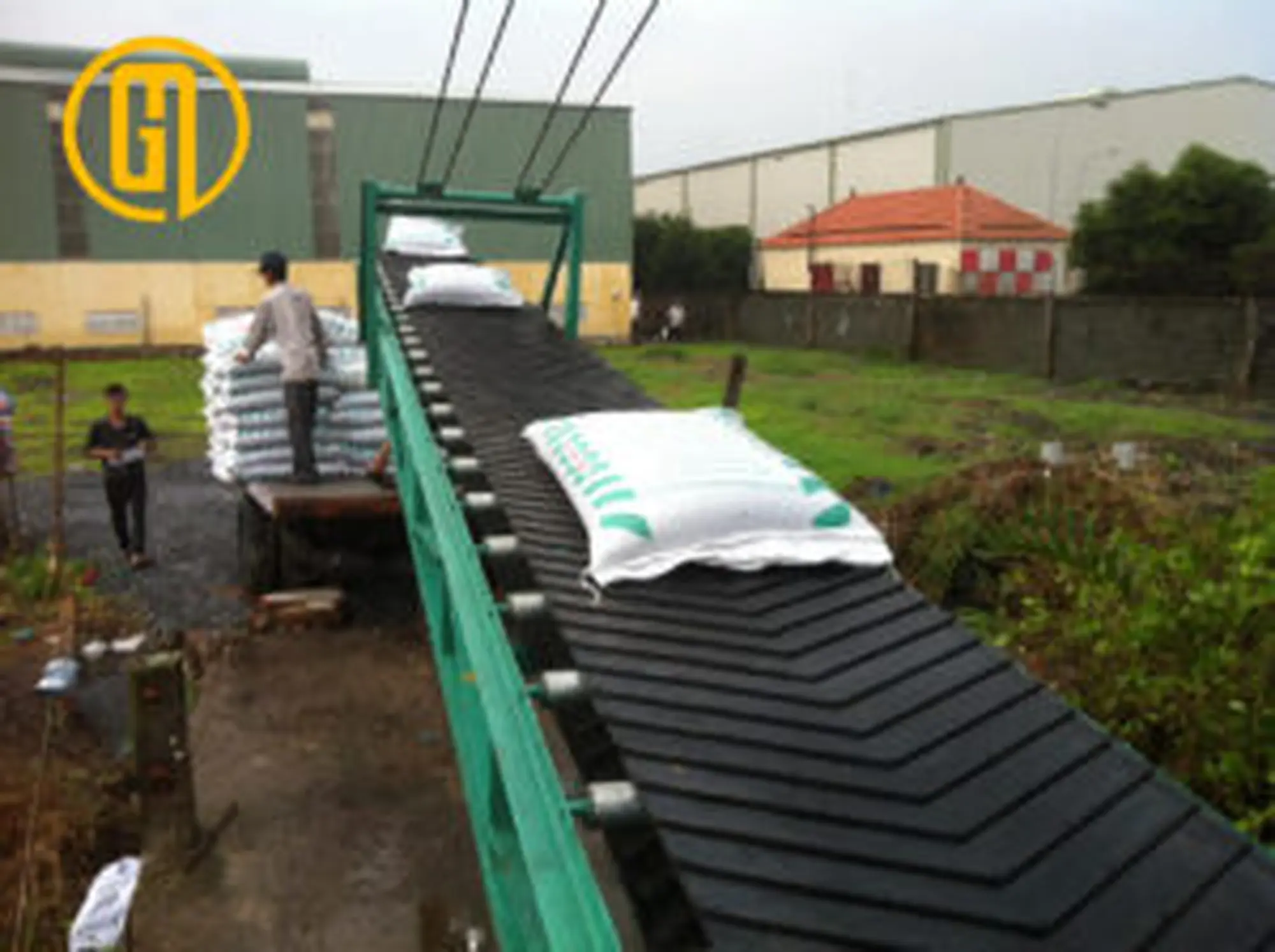 bang tai cao su gan V