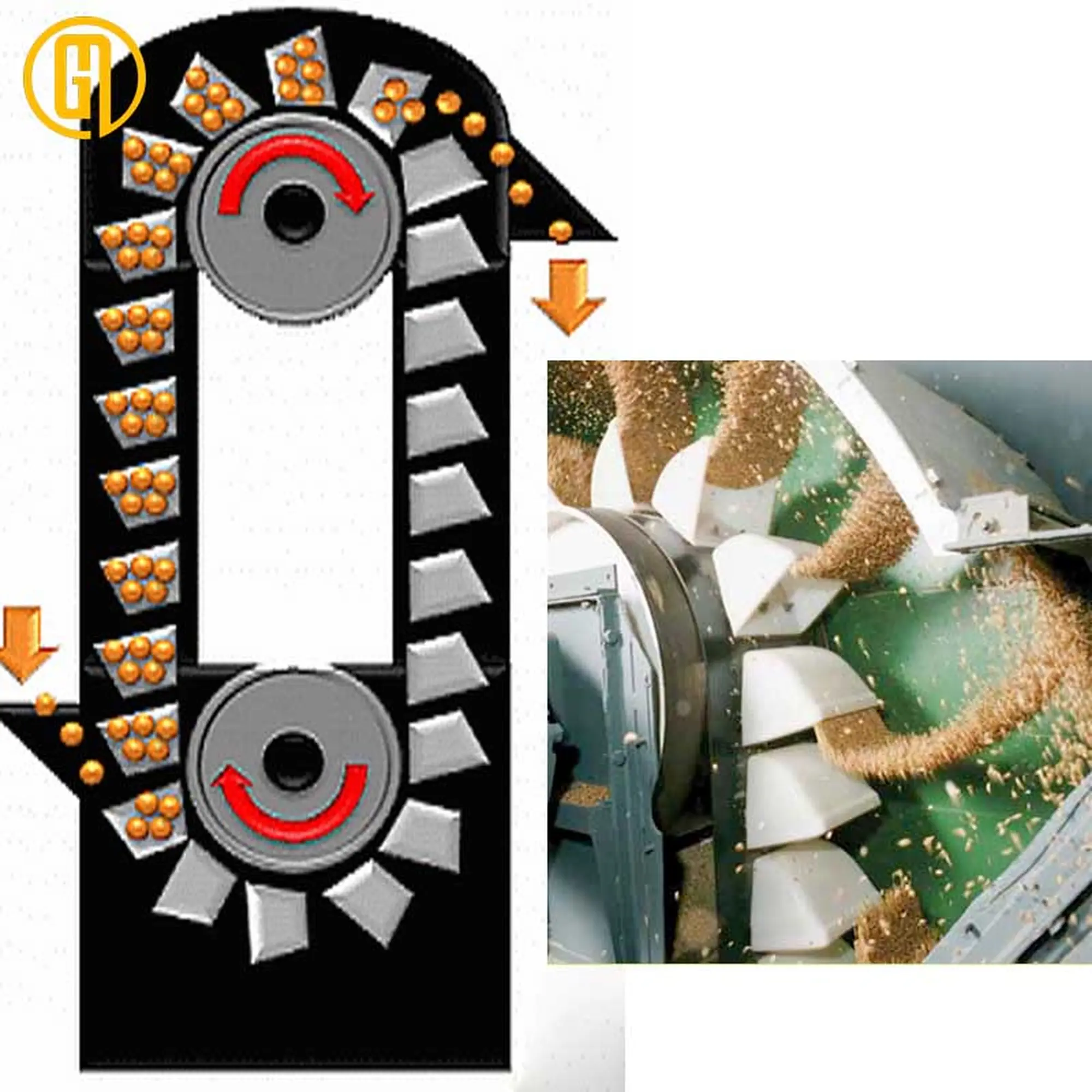 băng tải gầu nâng