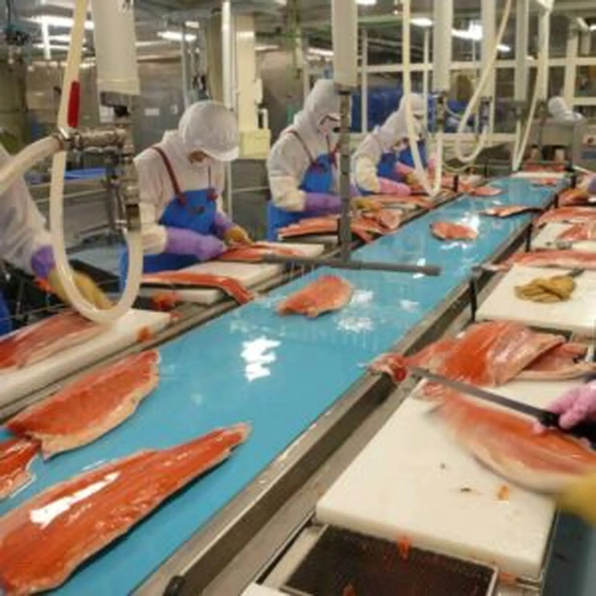 bang tai nganh thuy san