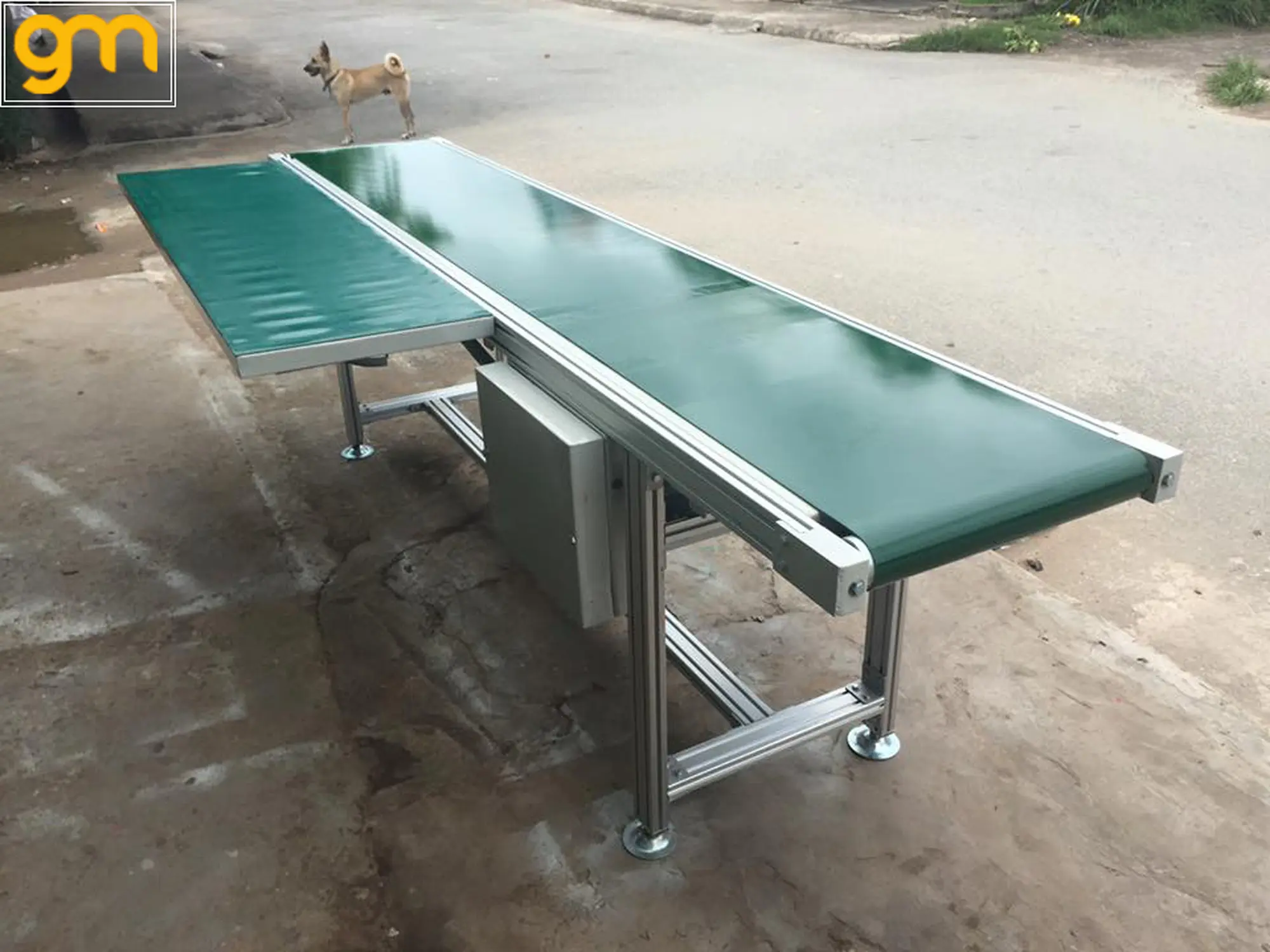 hệ thống băng tải đếm sản phẩm