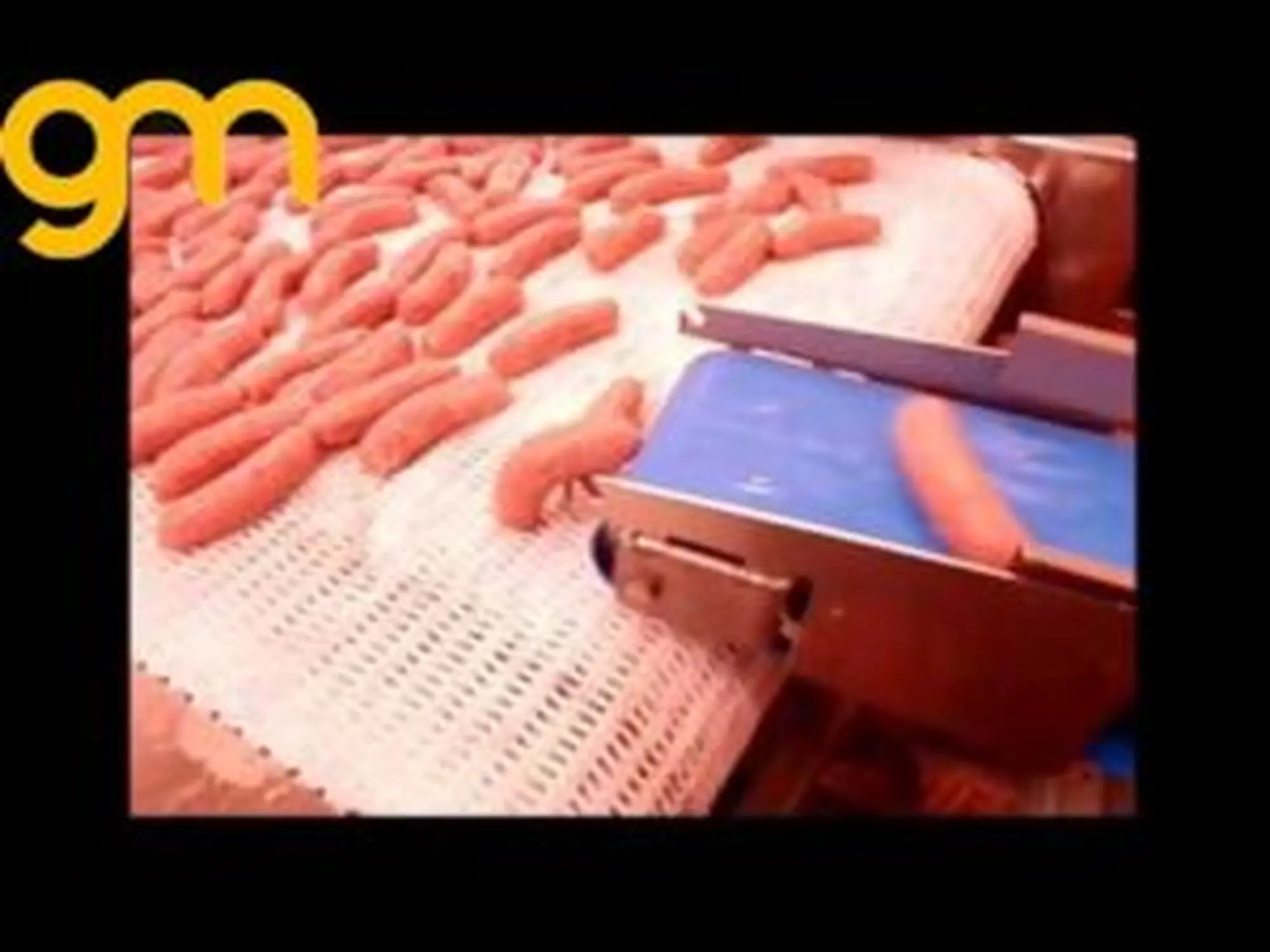 BĂNG TẢI LƯỚI INOX RỬA XÚC XÍCH