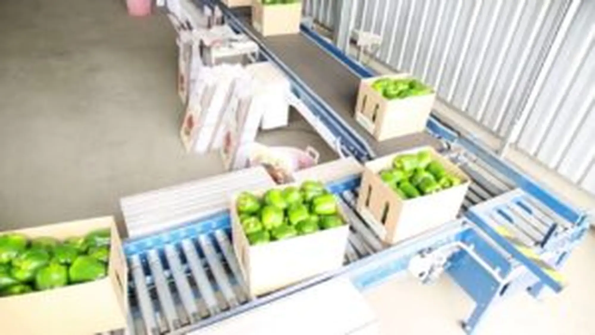 bang tai nganh nong nghiep