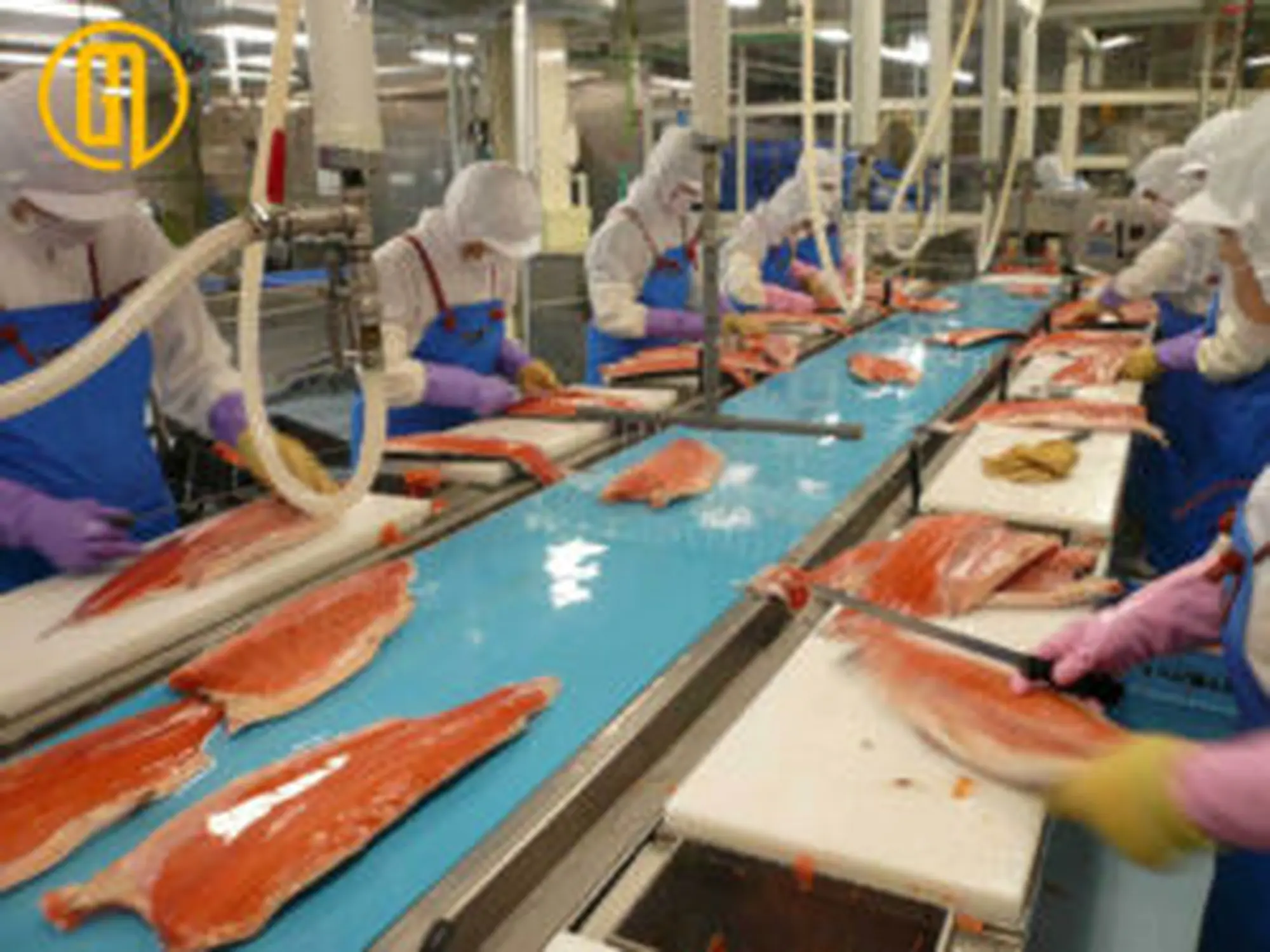 bang tai pvc thuy san