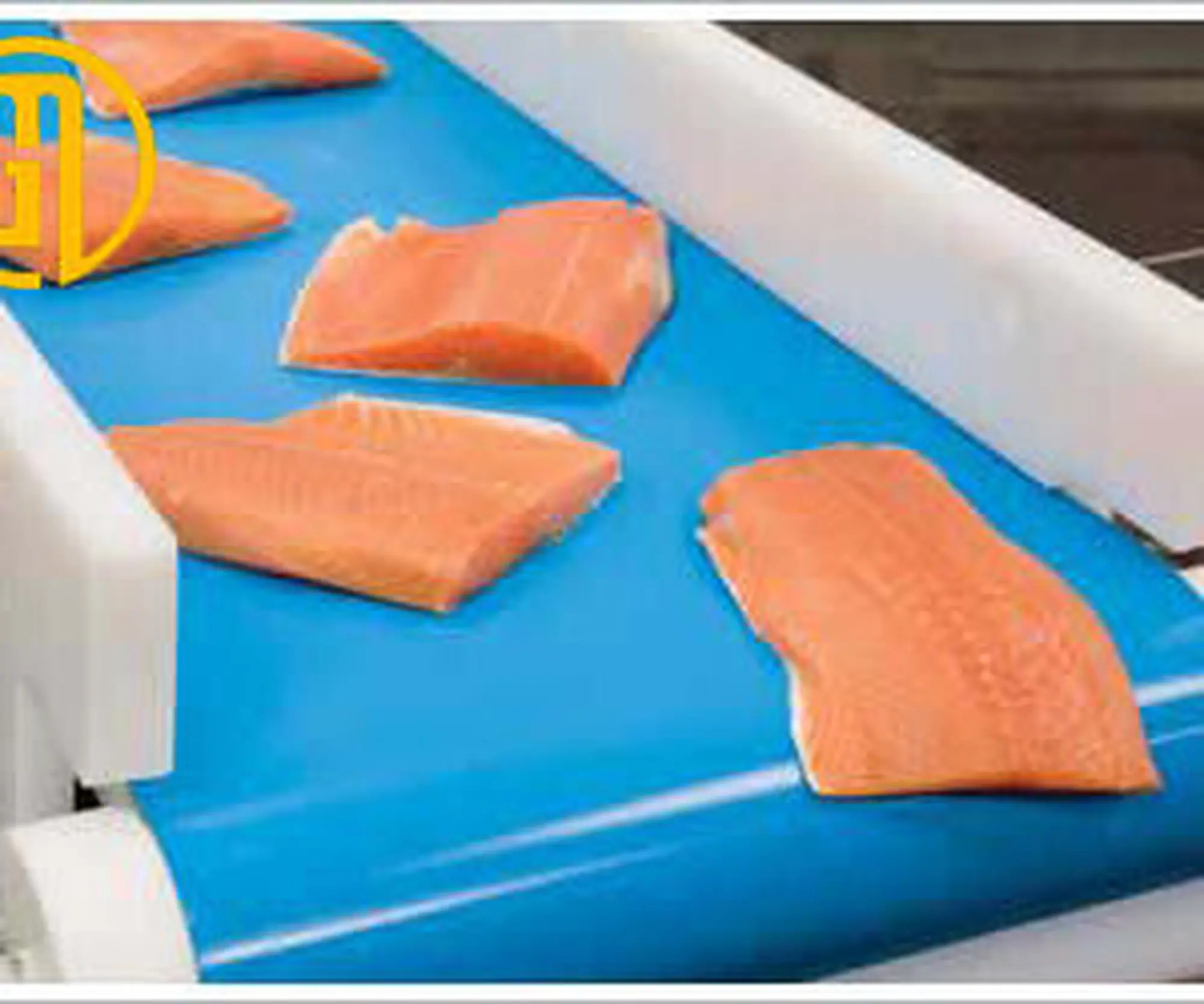 bang tai pvc thuy san