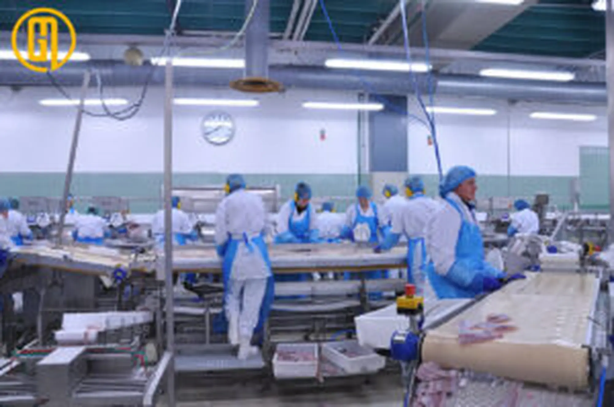 bang tai pvc thuy san