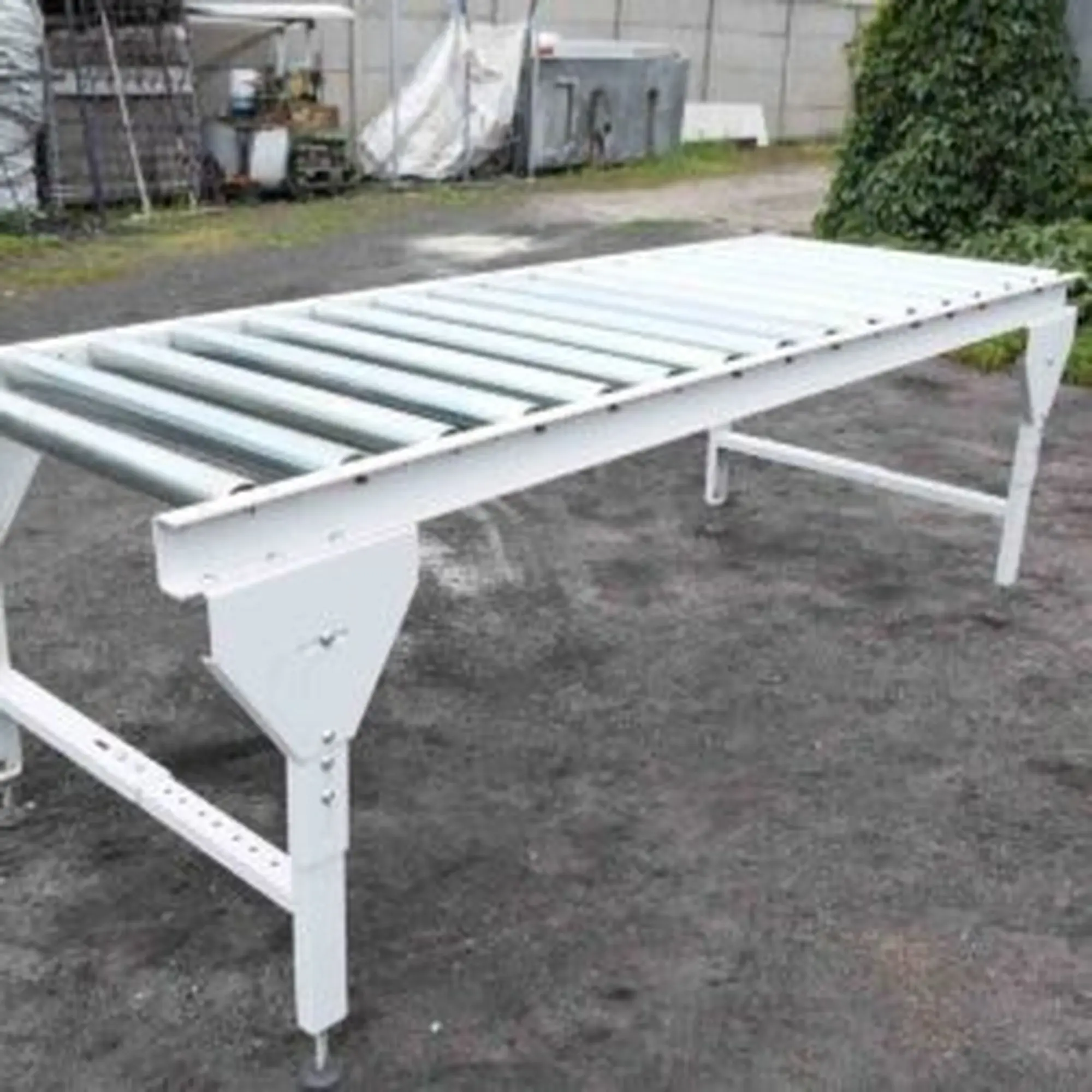 băng tải dạng con lăn