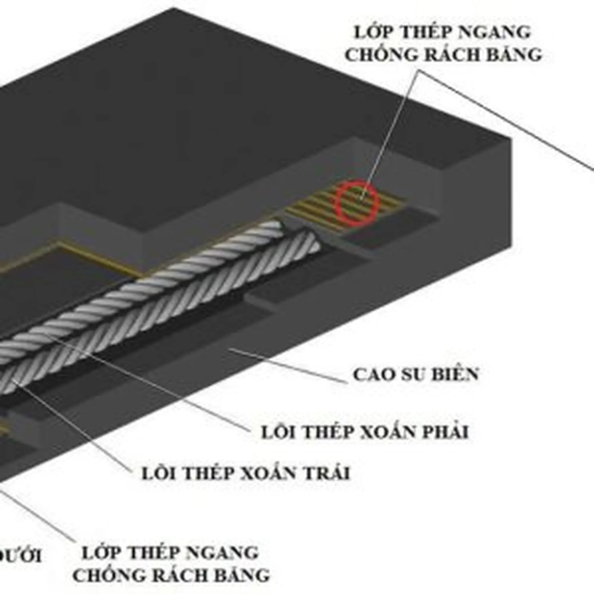 băng tải cao su lõi thép
