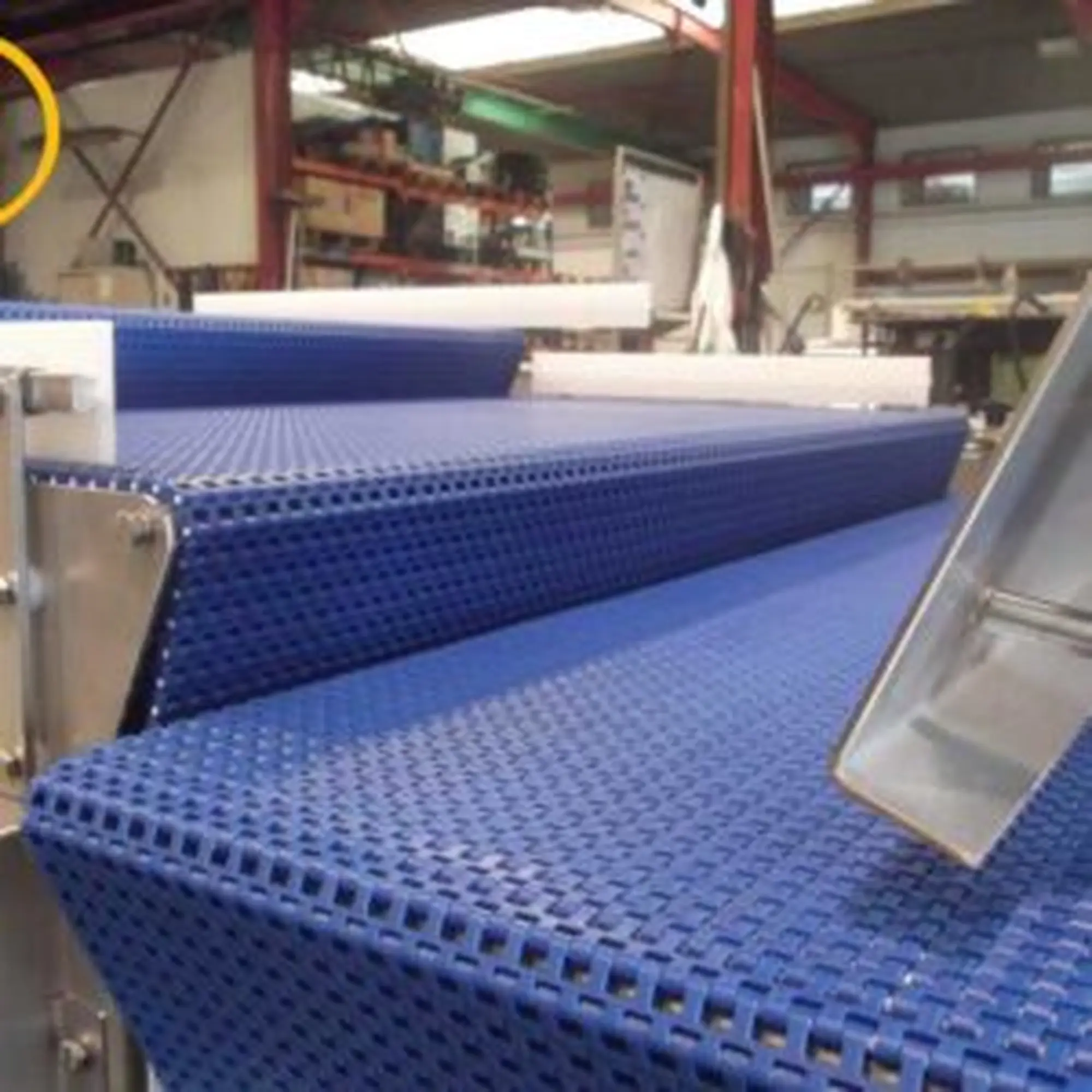 băng tải lưới nhựa