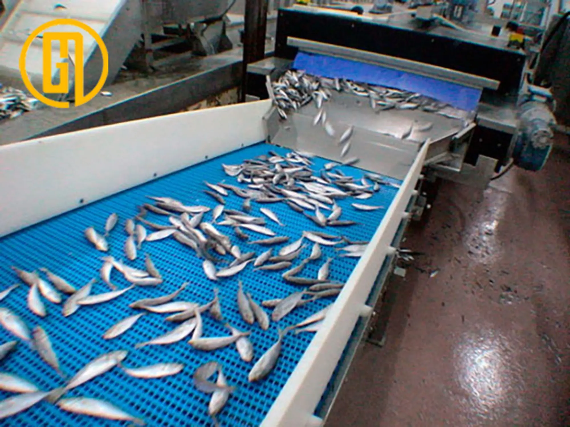 Băng tải lưới nhựa