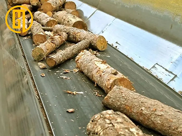 Băng tải chuyên vận chuyển gỗ